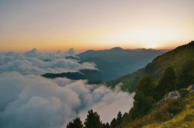 原来大家都在偷偷搜，蘑菇视频看得人情绪复杂，意外地让人破防
