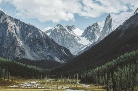 每日大赛今日冷门但不无聊，真正懂的人都在看冷门玩法