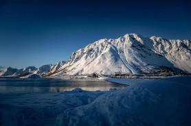 说实话有点上头，蘑菇视频app下载这事让不少人破防，难怪讨论一直压不住